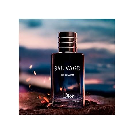 Christian Dior SAUVAGE 3.4 oz Eau de Parfum EDP for Men 2024 SEALED - AUTHENTIC