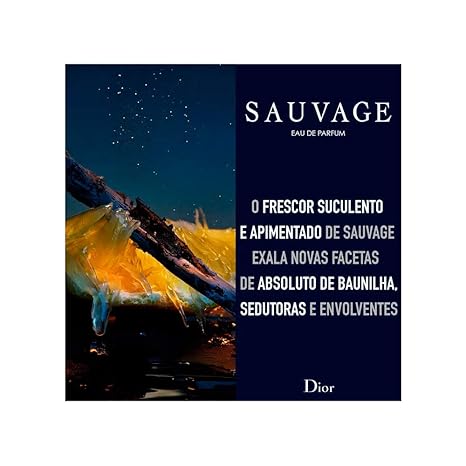 Christian Dior SAUVAGE 3.4 oz Eau de Parfum EDP for Men 2024 SEALED - AUTHENTIC