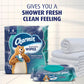 Charmin Flushable Wipes – 160 Total (4 Packs of 40) | Resealable, On-the-Go Wiper