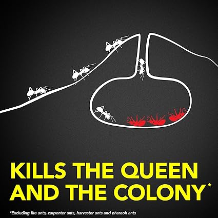 Raid Ant Killer Baits – Child-Resistant Indoor Ant Control, 8-Count (0.24 oz Total)