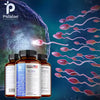 Men's Fertility Support, Ginseng, Multivitamins, Multiminerals, L-Carnitine, Maca, Niacin, Chromium - 120 Capsules